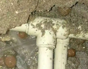 葫芦岛市测漏水多少钱