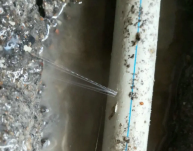 葫芦岛市测漏水哪家好