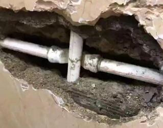 葫芦岛市测漏水哪家好