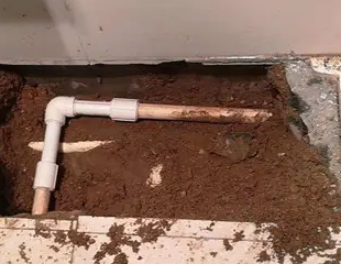 葫芦岛市测漏水哪家好