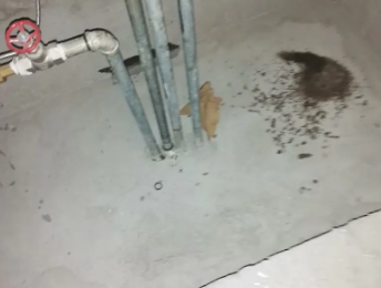 葫芦岛市卫生间测漏水价格明细