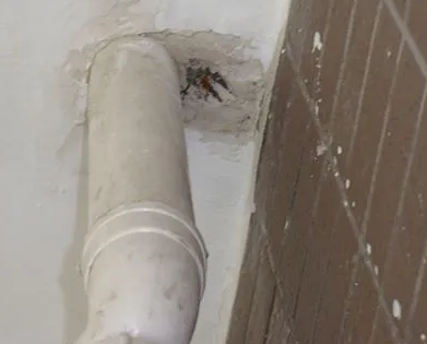 葫芦岛市漏水检测哪家好